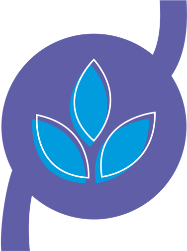 Fibre and Digestion