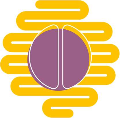 What is the Second Brain?