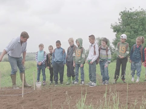 Little farmers