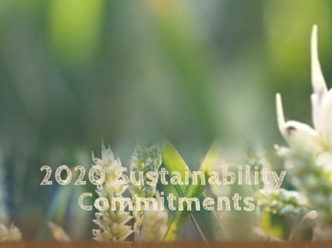 2020 sustainability commitments